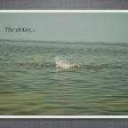 Slideshow.037