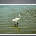 Slideshow.083