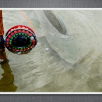 Slideshow.084