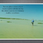 Slideshow.099
