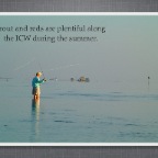 Slideshow.103